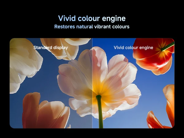 Xiaomi TV S Mini LED 65 Inch 2026