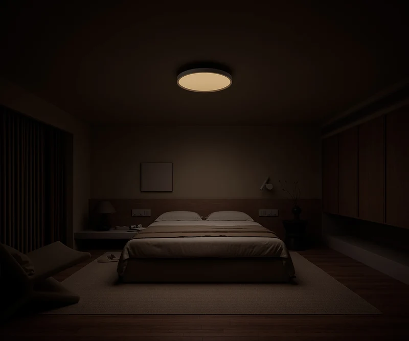 Xiaomi Smart Ceiling Light D30