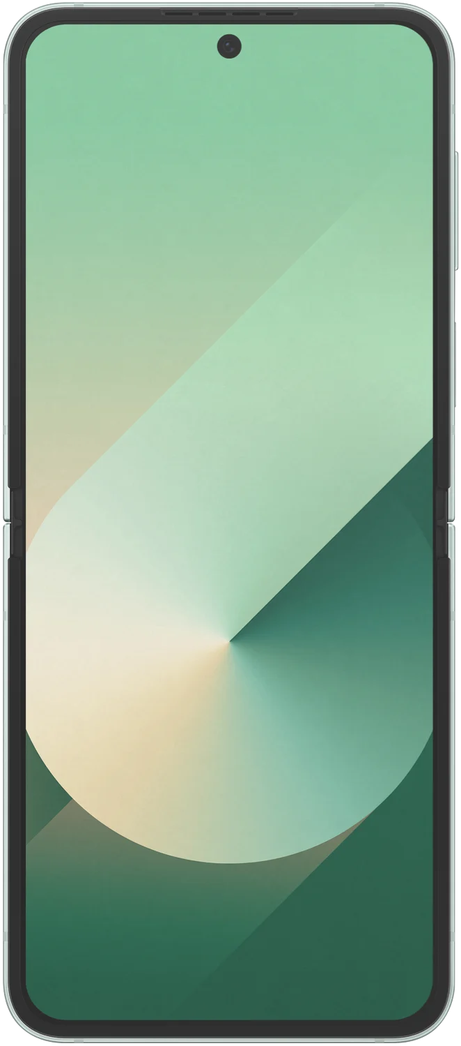Samsung Galaxy Z Flip6 256GB Mint
