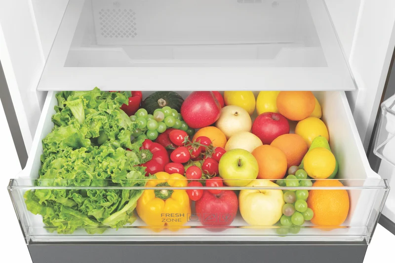 TCL 416L Bottom Mount Refrigerator