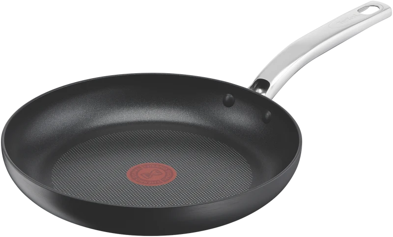 Tefal 26cm Gourmet Hard Anodised Non-Stick Frypan