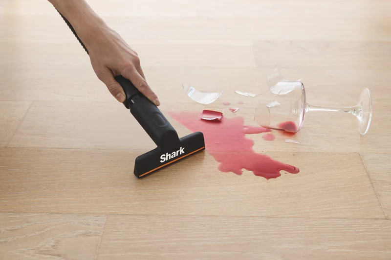 Shark MessMaster Portable Wet/Dry Vacuum