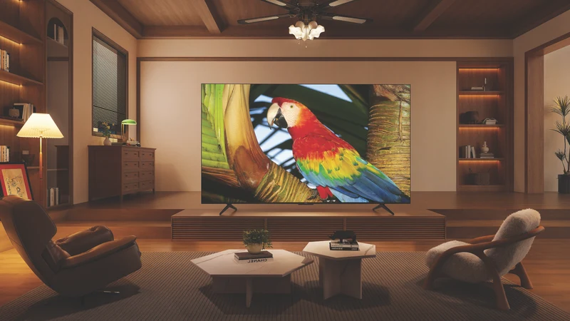 TCL 65" C655 QLED Google TV 24