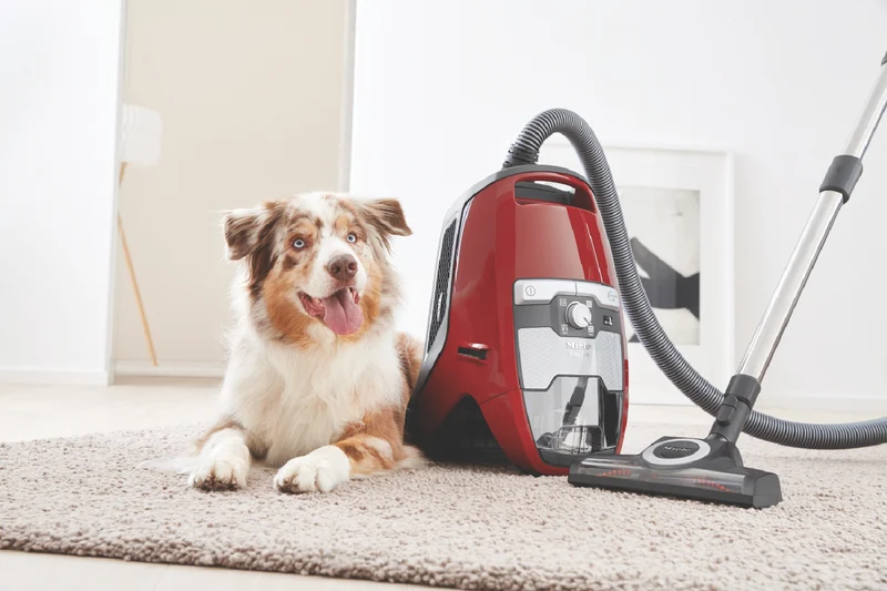 Miele Blizzard CX1 Cat & Dog Bagless Vacuum