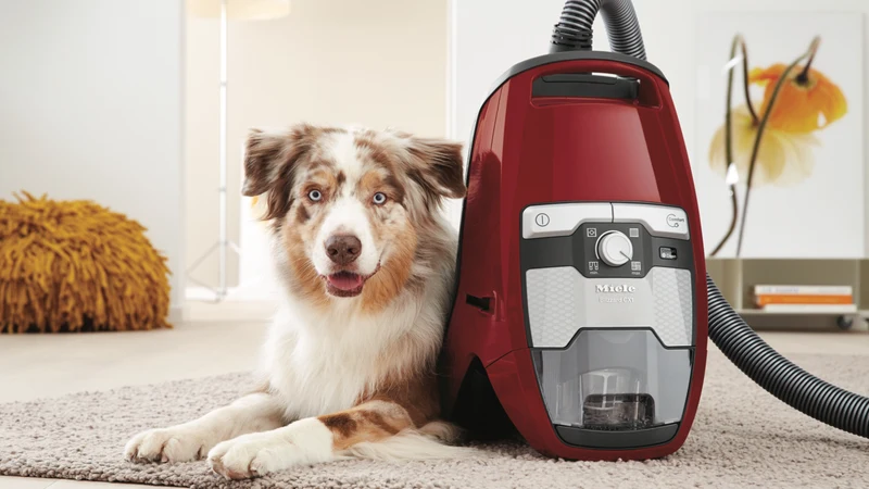 Miele Blizzard CX1 Cat & Dog Bagless Vacuum