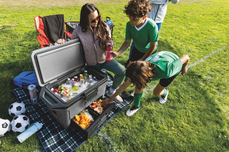 Ninja FrostVault 47L Hard Cooler with Dry Zone - Slate Grey