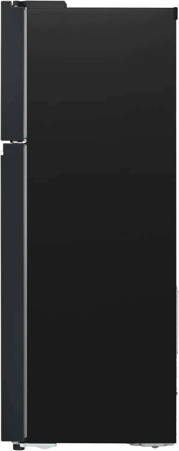 LG 375L Top Mount Refrigerator