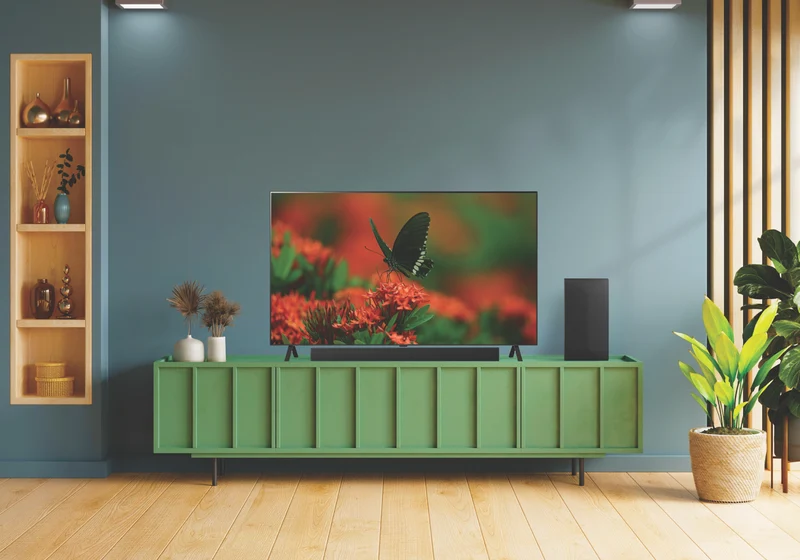 LG 55" OLED B4 4K Smart TV 24