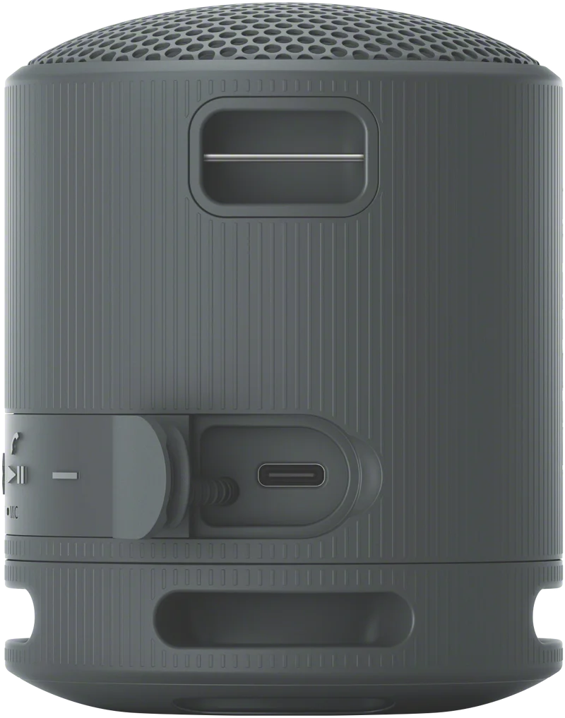Sony SRS-XB100B Bluetooth Speaker
