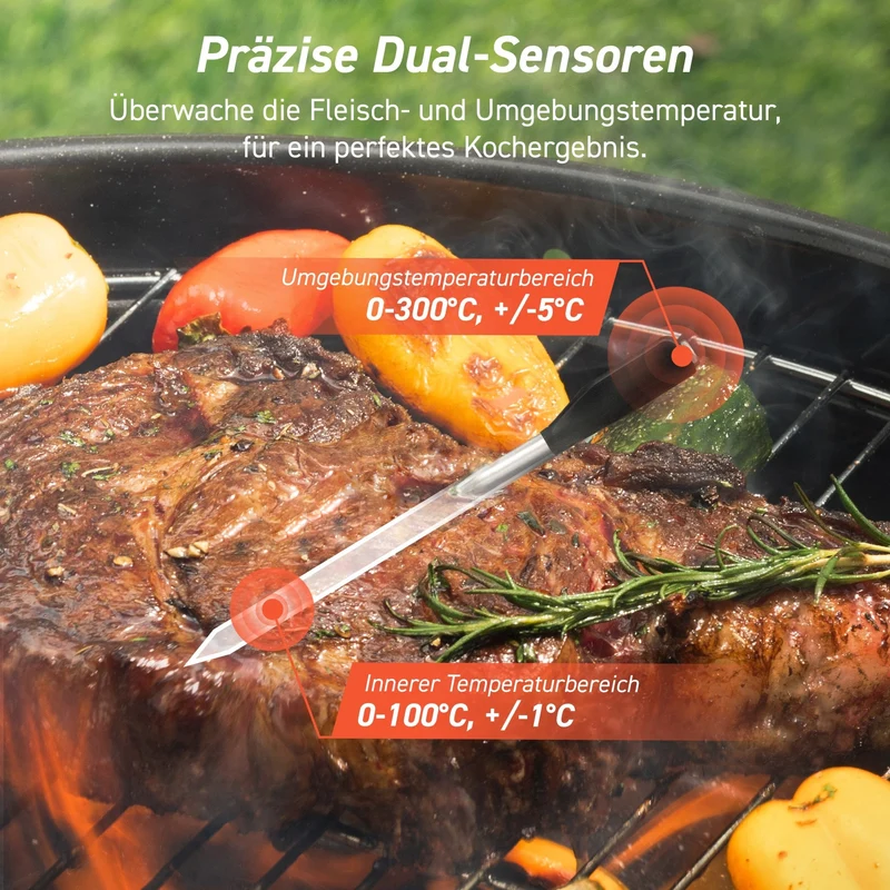 COSORI Smartes Fleischthermometer