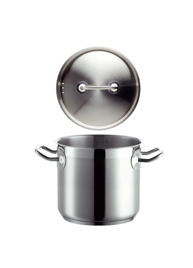 Mäser, Serie Professional, Gemüsetopf 16 cm mit Deckel, Topf aus hochwertigem Edelstahl 18/10, Induk