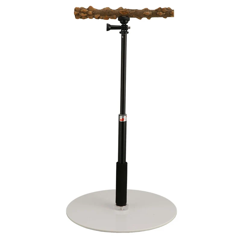 Ayayu Parrot Training Barch Stand, Abnehmbarer Outdoor Vogel Stehplatz mit 37 Zoll höhenverstellbare