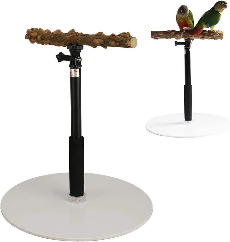Ayayu Parrot Training Barch Stand, Abnehmbarer Outdoor Vogel Stehplatz mit 37 Zoll höhenverstellbare