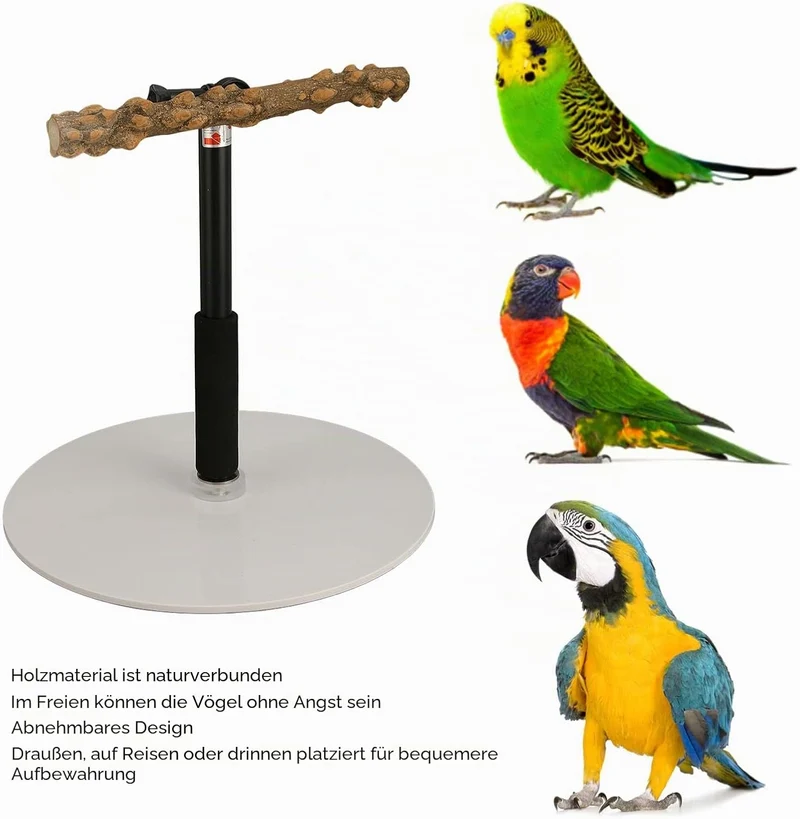 Ayayu Parrot Training Barch Stand, Abnehmbarer Outdoor Vogel Stehplatz mit 37 Zoll höhenverstellbare