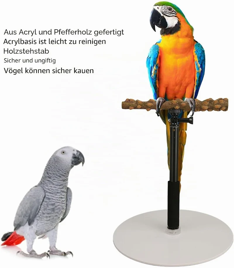 Ayayu Parrot Training Barch Stand, Abnehmbarer Outdoor Vogel Stehplatz mit 37 Zoll höhenverstellbare