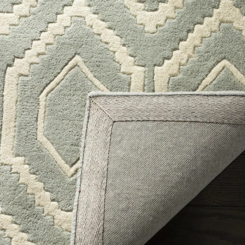 SAFAVIEH Zeitgenössische Teppich für Wohnzimmer, Esszimmer, Schlafzimmer - Chatham Collection, Kurze