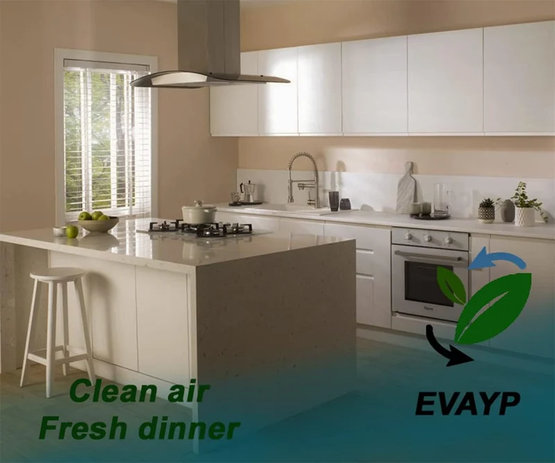 EVAYP/Aktivkohlefilter Clean Air/Kompatibel mit 17004083, Bosch DZZ1XX1B6, Siemens LZ31XXB16 Neff Z5