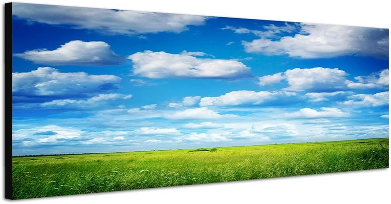 Paul Sinus Art Panoramabild auf Leinwand und Keilrahmen 120x40cm Feld Wiese Sommer Himmel Wolken