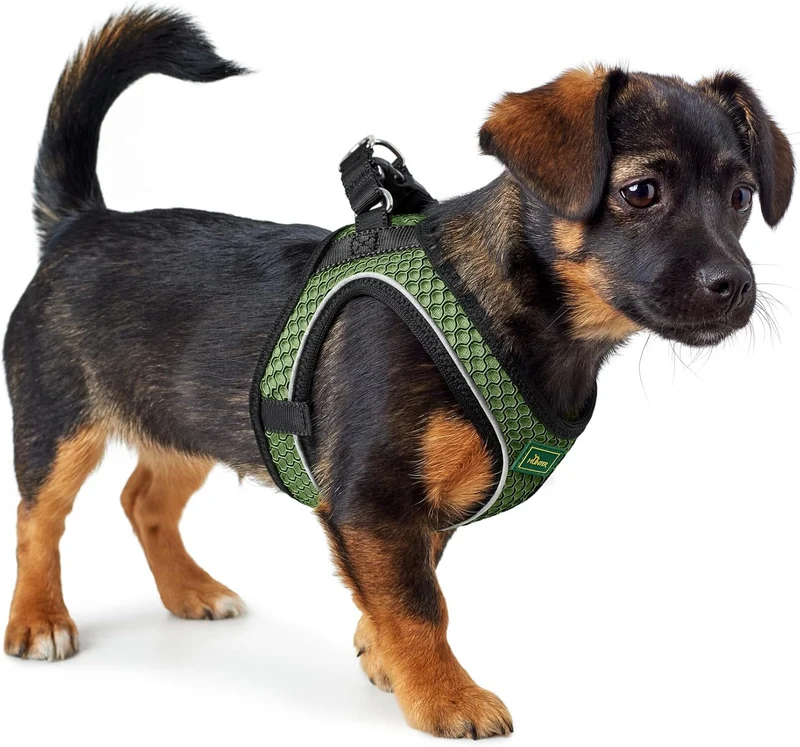 Hunter - Dog Harness Hilo Comfort. M, Green - (401673969801)