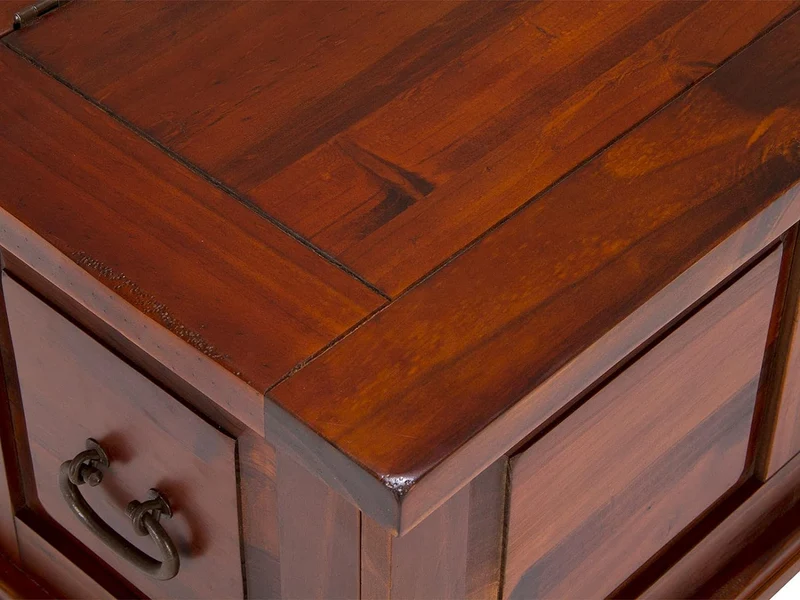 Woodkings® Holztruhe mit Deckel Catana Pinie Massivholz braun Echtholz rustikal Wohnzimmer Möbel Flu