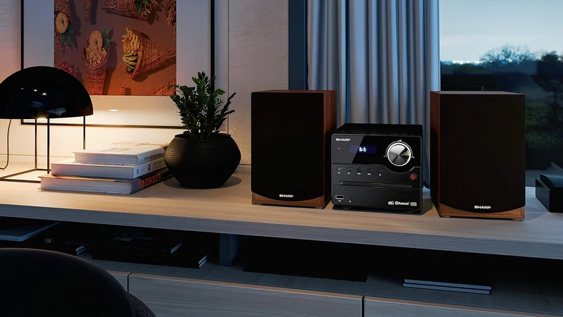 SHARP XLB512BR Mirco-Soundsystem 45W (UKW/FM-Radio, Bluetooth, USB, CD, MP3), braun Mikrosoundsystem