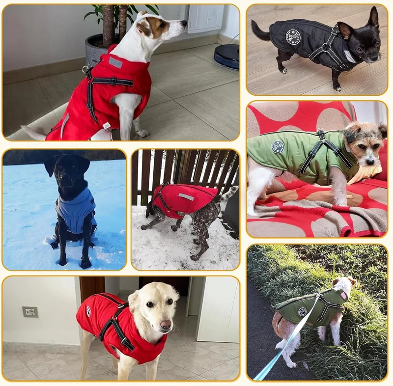Hundemantel, Winter Hundejacke Wasserdicht Winddichte mit bauchschutz, Outdoor Hunde Wintermantel Hu