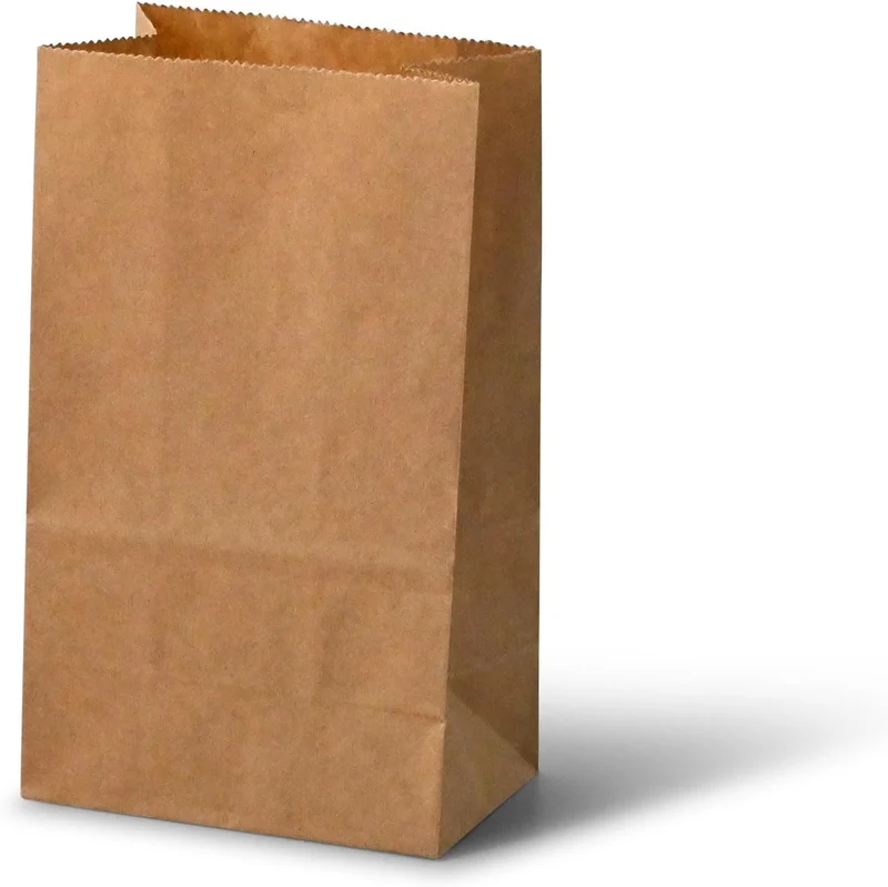 BIOZOYG kleine Kraftpapier Tüten I Braune Papiertüten Geschenktüten Bio I Papier Tüte mit Boden recy