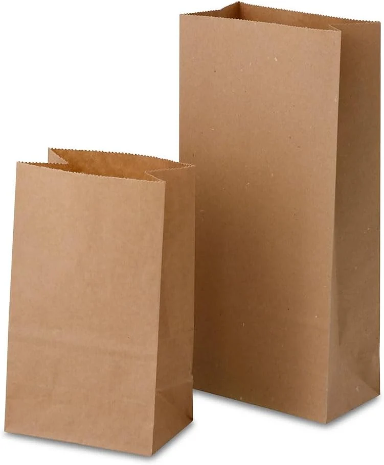 BIOZOYG kleine Kraftpapier Tüten I Braune Papiertüten Geschenktüten Bio I Papier Tüte mit Boden recy