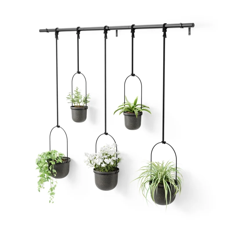 Umbra Triflora Blumenampel, 5er-Set, Wandmontage, Schwarz Schwarz 5 Töpfe, Schwarz 5 Töpfe