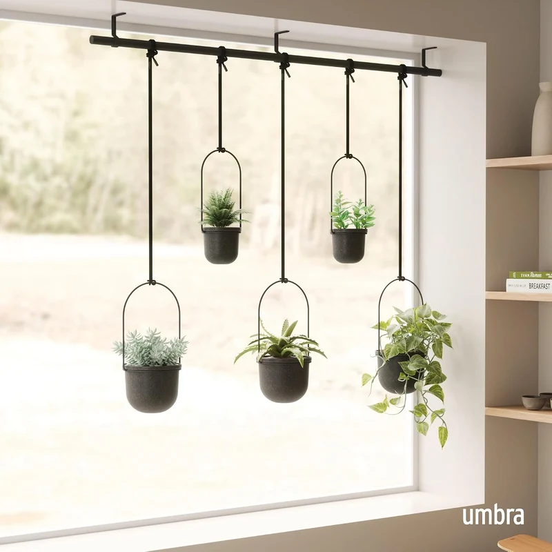 Umbra Triflora Blumenampel, 5er-Set, Wandmontage, Schwarz Schwarz 5 Töpfe, Schwarz 5 Töpfe