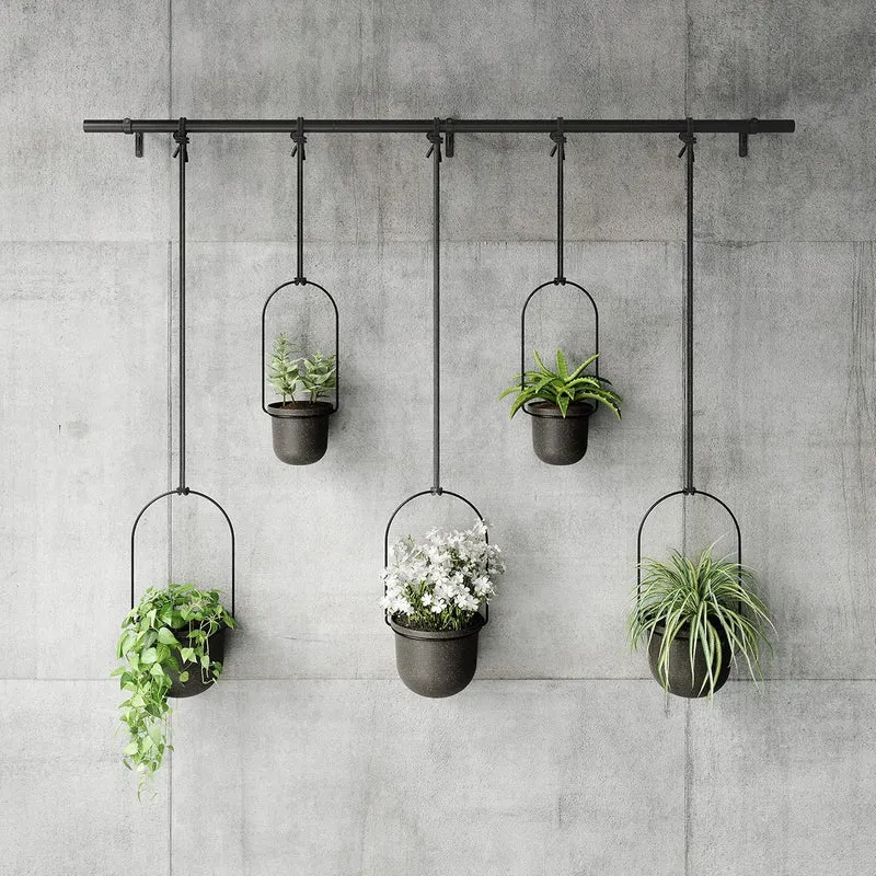 Umbra Triflora Blumenampel, 5er-Set, Wandmontage, Schwarz Schwarz 5 Töpfe, Schwarz 5 Töpfe
