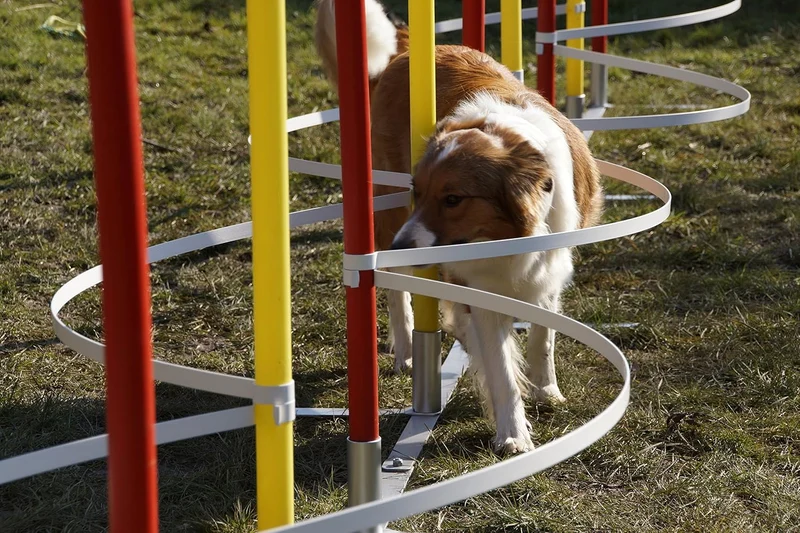 Generisch Agility-SLALOMBÖGEN/TRAININGSBÖGEN FÜR SLALOMSTANGEN-Durchmesser 24mm - 29mm, OHNE STANGEN