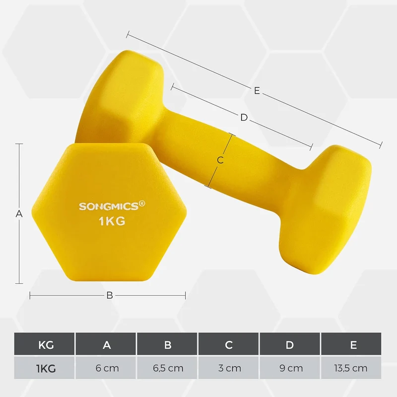 SONGMICS Hanteln, Kurzhanteln, 4er Set, 2 Davon 1 kg, 2 Davon 1,5 kg, Krafttraining, zu Hause, im Bü