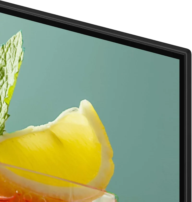 BE55FX-H - 140 cm (55") Diagonalklasse (138.68 cm (54.6") sichtbar) - BEFX-H Series LCD-TV mit LED-H