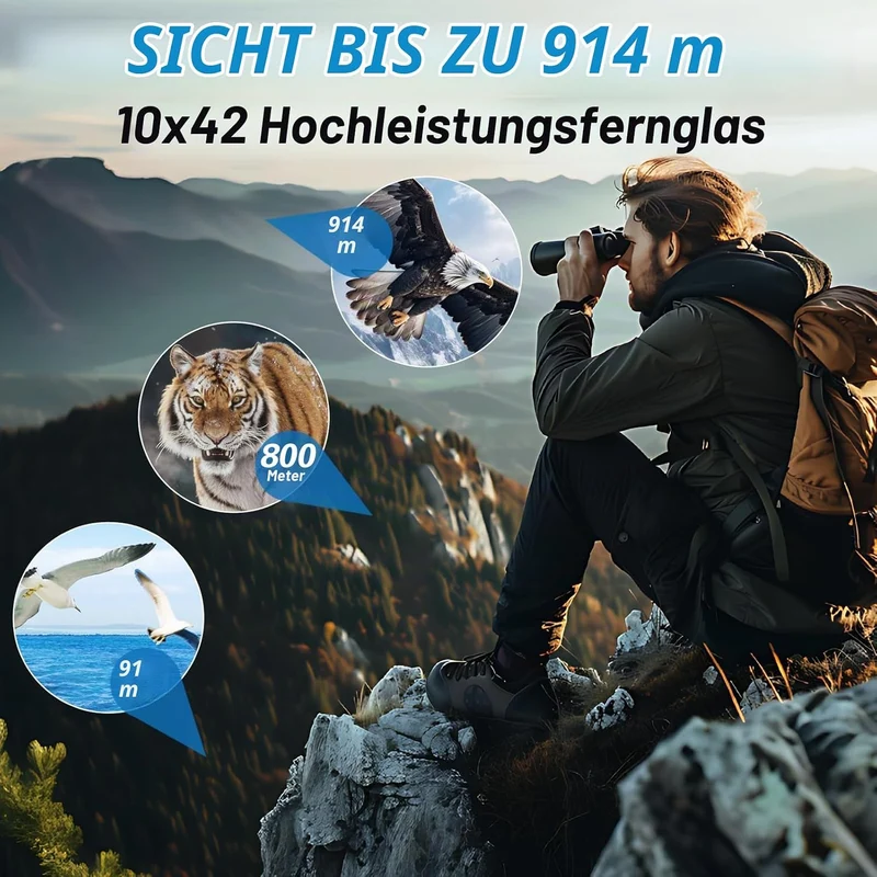 10x42 Fernglas für Erwachsene, leistungsstarkes kompaktes Fernglas mit schwachem Licht, Nachtsicht f