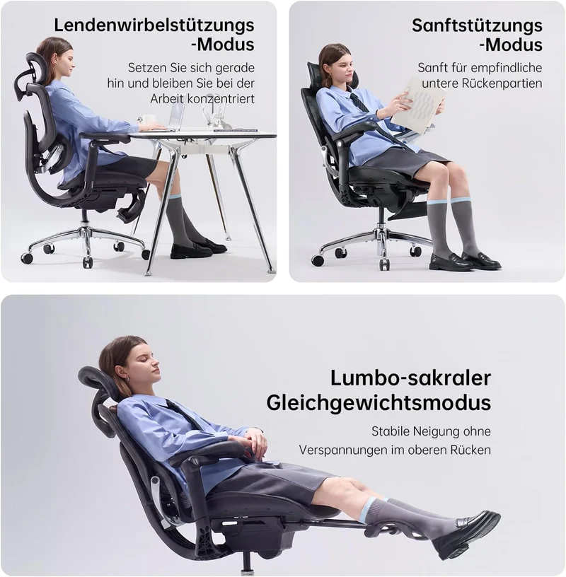 SIHOO Doro C300 Pro V2 Ergonomischer Bürostuhl, Adaptive Unterstützung Schwarz Pack of 2, Schwarz Pa