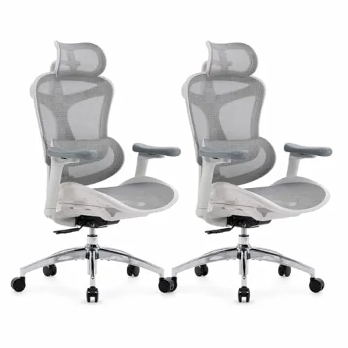 SIHOO Doro C300 Bürostuhl Ergonomisch mit Dynamischer Lendenwirbelstütze Weiss Pack of 2, Weiss Pack