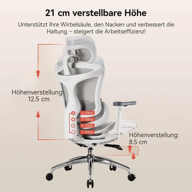 SIHOO Doro C300 Bürostuhl Ergonomisch mit Dynamischer Lendenwirbelstütze Weiss Pack of 2, Weiss Pack
