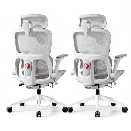 SIHOO B300 Pro Bürostuhl Ergonomisch mit 4D-verstellbare Lendenwirbelstütze Weiss Pack of 2, Weiss P