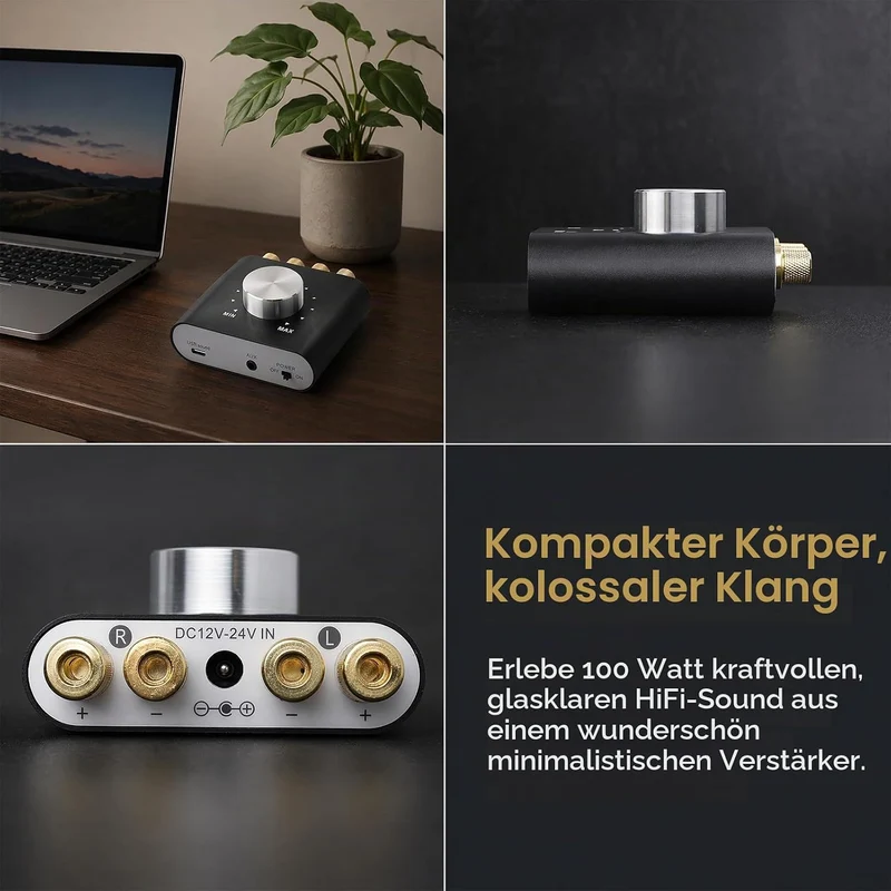 100W Mini Verstärker Bluetooth, Digital Power Amplifier HiFi Stereo Verstärker mit Netzteil, DC 12V-