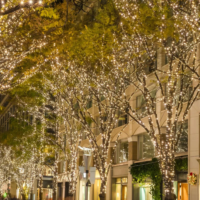 UISEBRT LED Lichterkette Aussen 30M 300Led, Weihnachtsbeleuchtung für Aussen und Innen mit 8 Modi IP