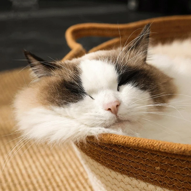 Katzenkorb | Aus Baumwollseil Geflochtenes Katzenbett | Waschbarer Abnehmbarer Weicher Flechtkorb Fü